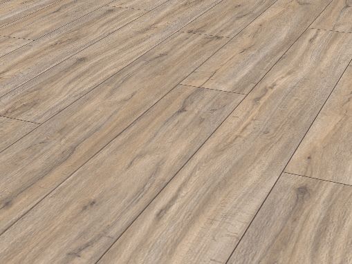 Holm Oak Creme