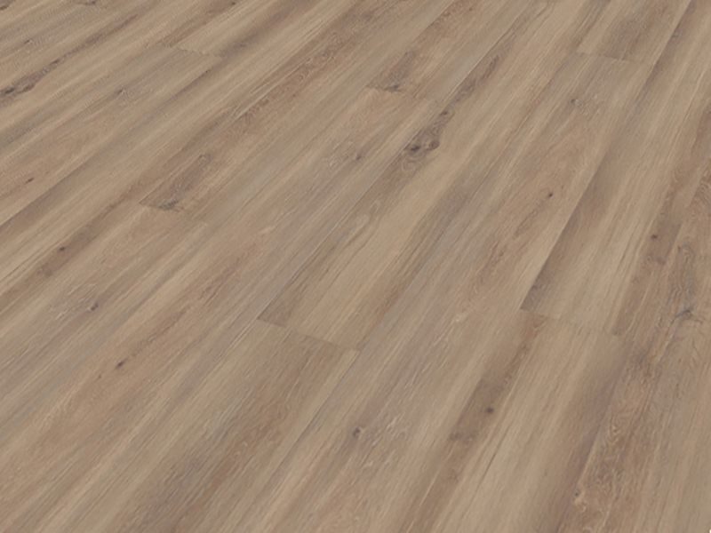 Tobacco Oak