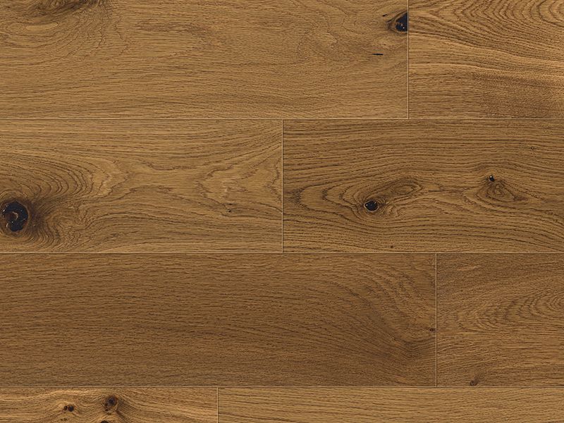 Cashel Oak