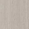 P15 - Silver Birch