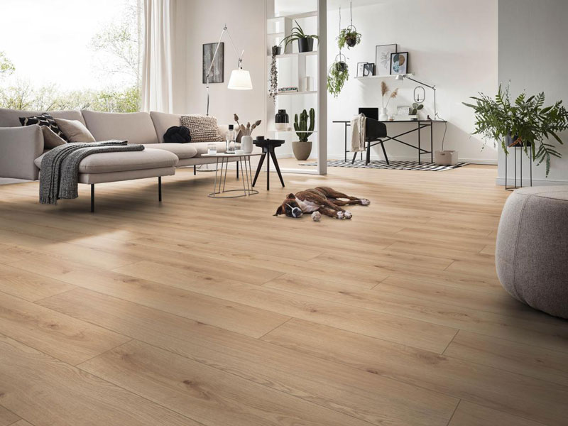 12mm x 188mm x 1375mm<BR>ROBUSTO<BR>PLANK <BR>TUSCANY OAK NATURE<BR>LAMINATE FLOORING<BR> - Image 2